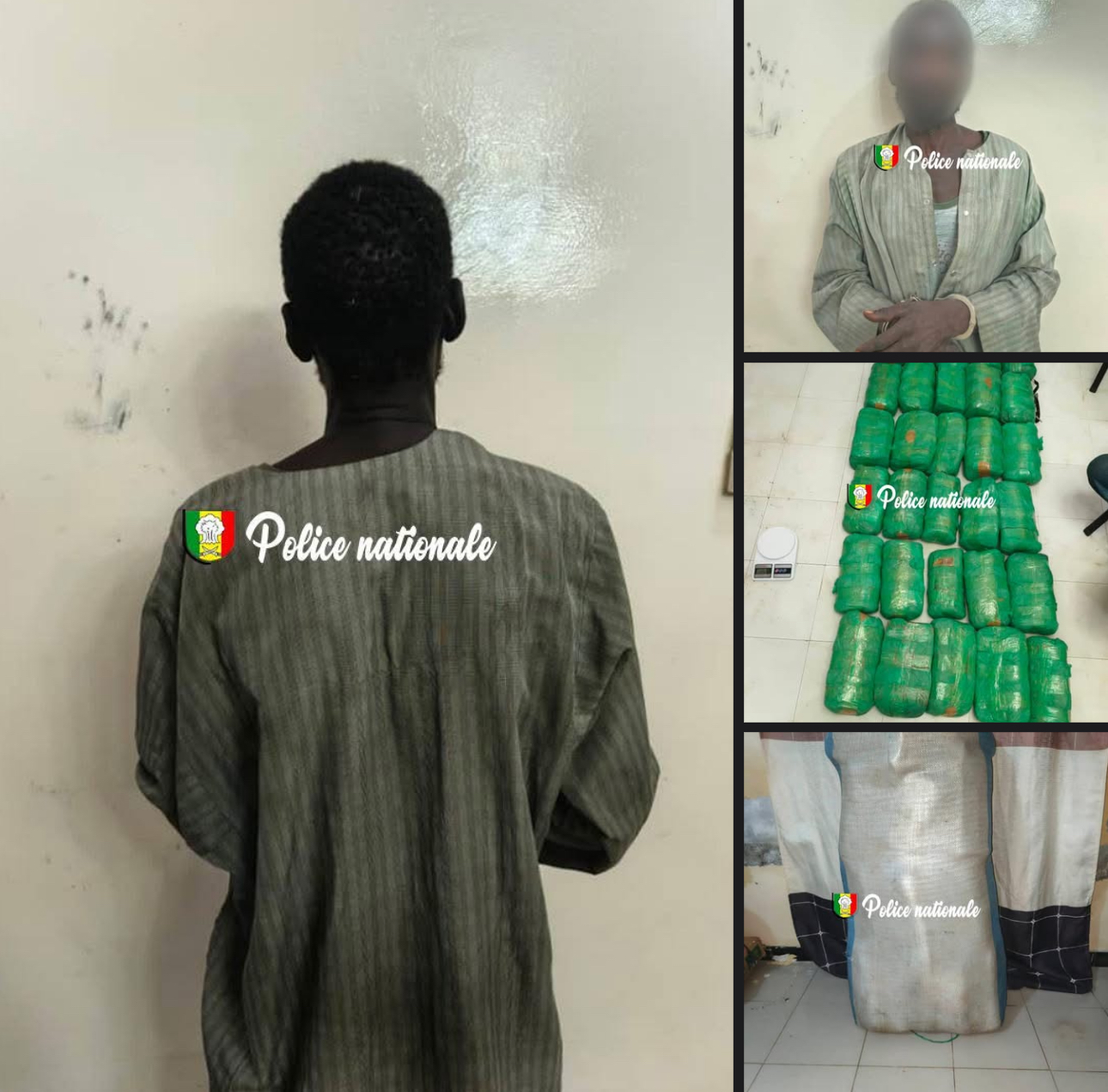 Saisie De Drogue Touba Un Homme De 52 Ans Arr t Avec 32 9 Kg De saisie-de-drogue-touba-un-homme-de-52-ans-arr-t-avec-32-9-kg-de